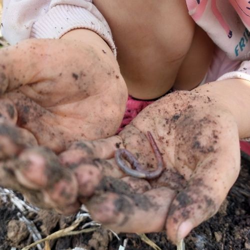 Lentekriebels voor kids 6-12 jaar